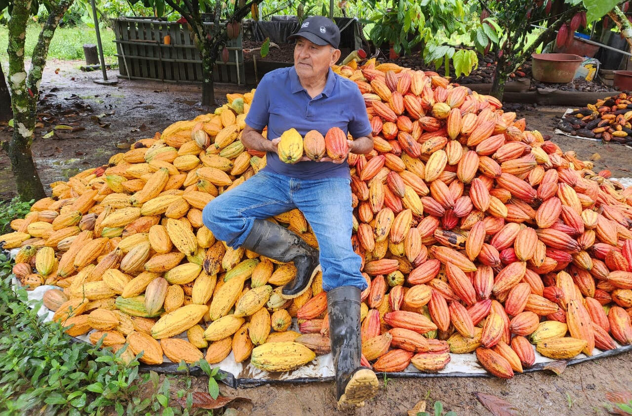 Alfonso at Mi Terruño Alfonso at Mi Terruño